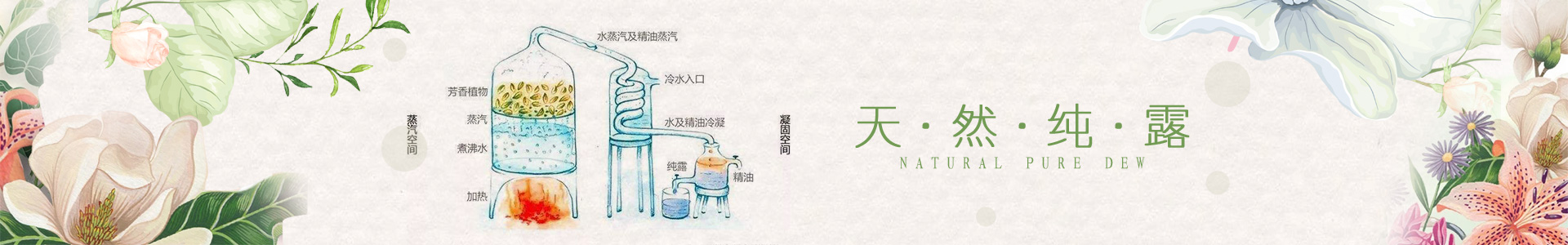 植物蒸馏饱和纯露