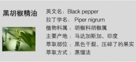 黑胡椒的功效与作用