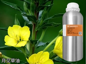 齐齐哈尔月见草油冷压植物油基础油原料批发厂家OEM