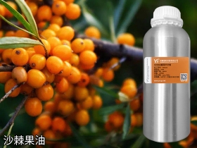 安阳沙棘果油冷压植物油基础油食品原料批发OEM