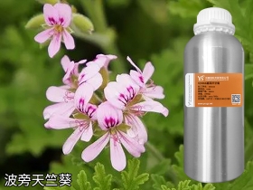 毕节波旁天竺葵精油香叶油源头批发供应商YS垣鑫