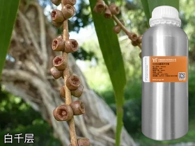 YS白千层油 | 又叫脱皮树它的功效与作用你了解吗？作用在皮肤要注意什么？