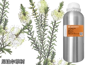 YS尼泊尔茶树 | 防菌消炎突围选手