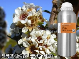 长沙芬芳茶树纯露芳枸叶纯露花水原料批发供应商YS