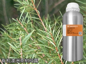 嘉兴有机澳洲茶树纯露原料批发供应商茶树花水YS