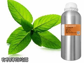 唐山YS垣鑫有机薄荷纯露批发厂家加工化妆品oem