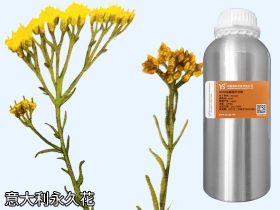 莱芜意大利永久花精油蜡菊油源头批发商