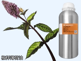 毕节椒样薄荷油胡椒薄荷精油批发