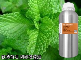 邯郸欧薄荷精油胡椒薄荷油源头批发商YS垣鑫