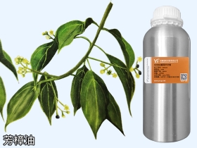 西双版纳YS芳樟叶精油芳樟精油批发厂家