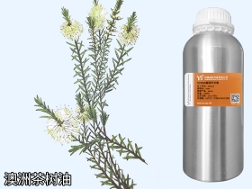 莱芜澳洲茶树精油茶树油垣鑫国际YS