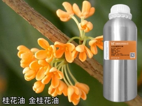 莱芜YS桂花精油中国金桂精油批发