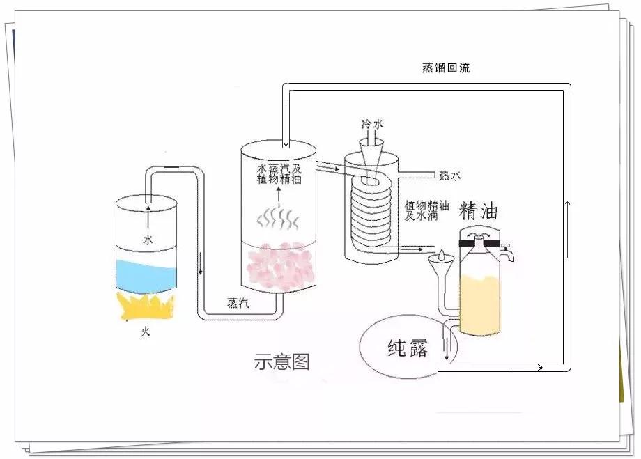 YS天然植物纯露批发商