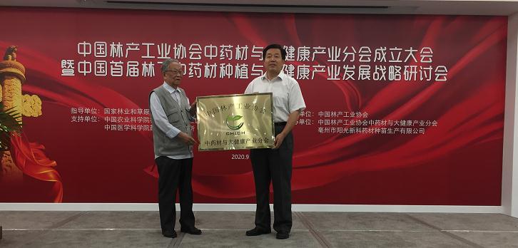 中国林产工业协会中药材与大健康产业分会成立