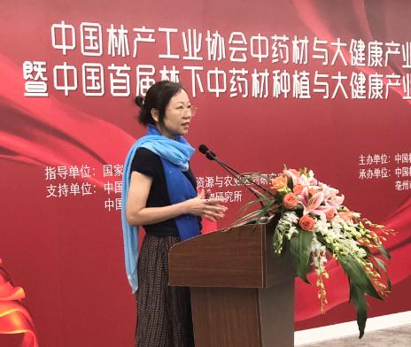 中国林产工业协会副理事单位,YS垣鑫负责人刘美娟发表讲话