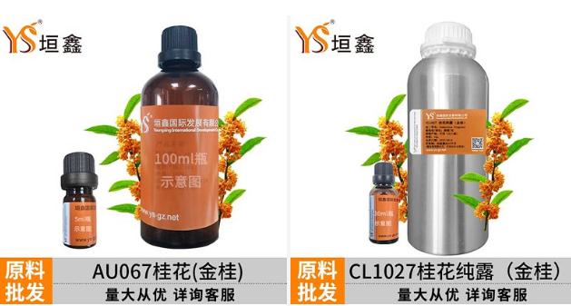 中国金桂纯露YS广州供货商