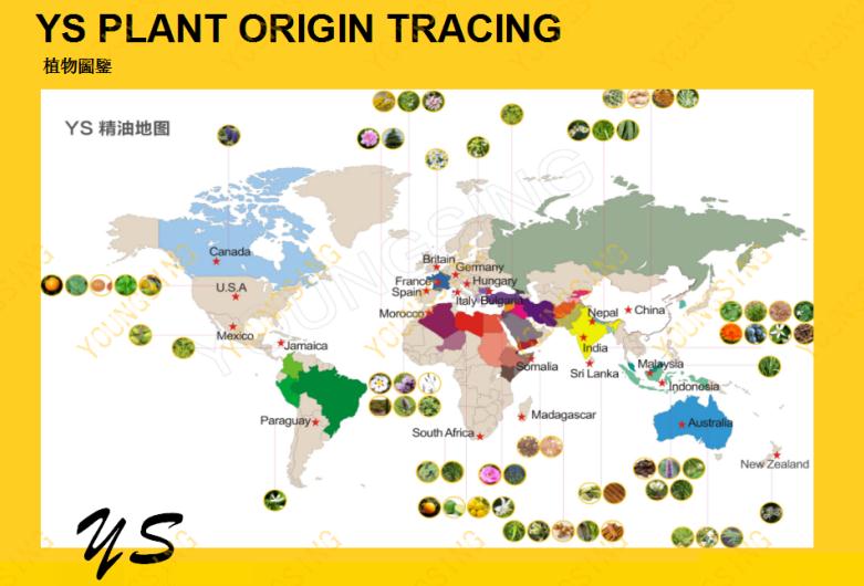 YS优质好原料,全球基地直供花水、纯精油、植物油等原料