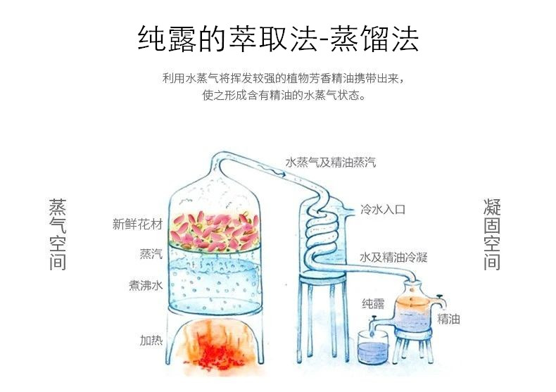 纯露蒸馏萃取广州天然植物纯露批发玫瑰纯露