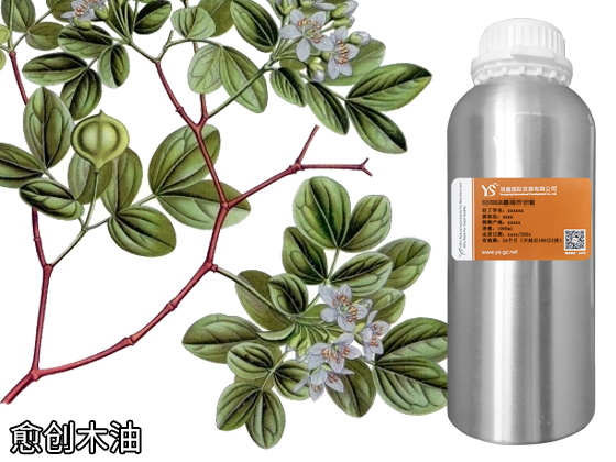 精油生产厂 精油生产厂