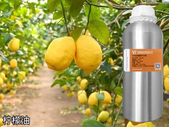 精油源头公司